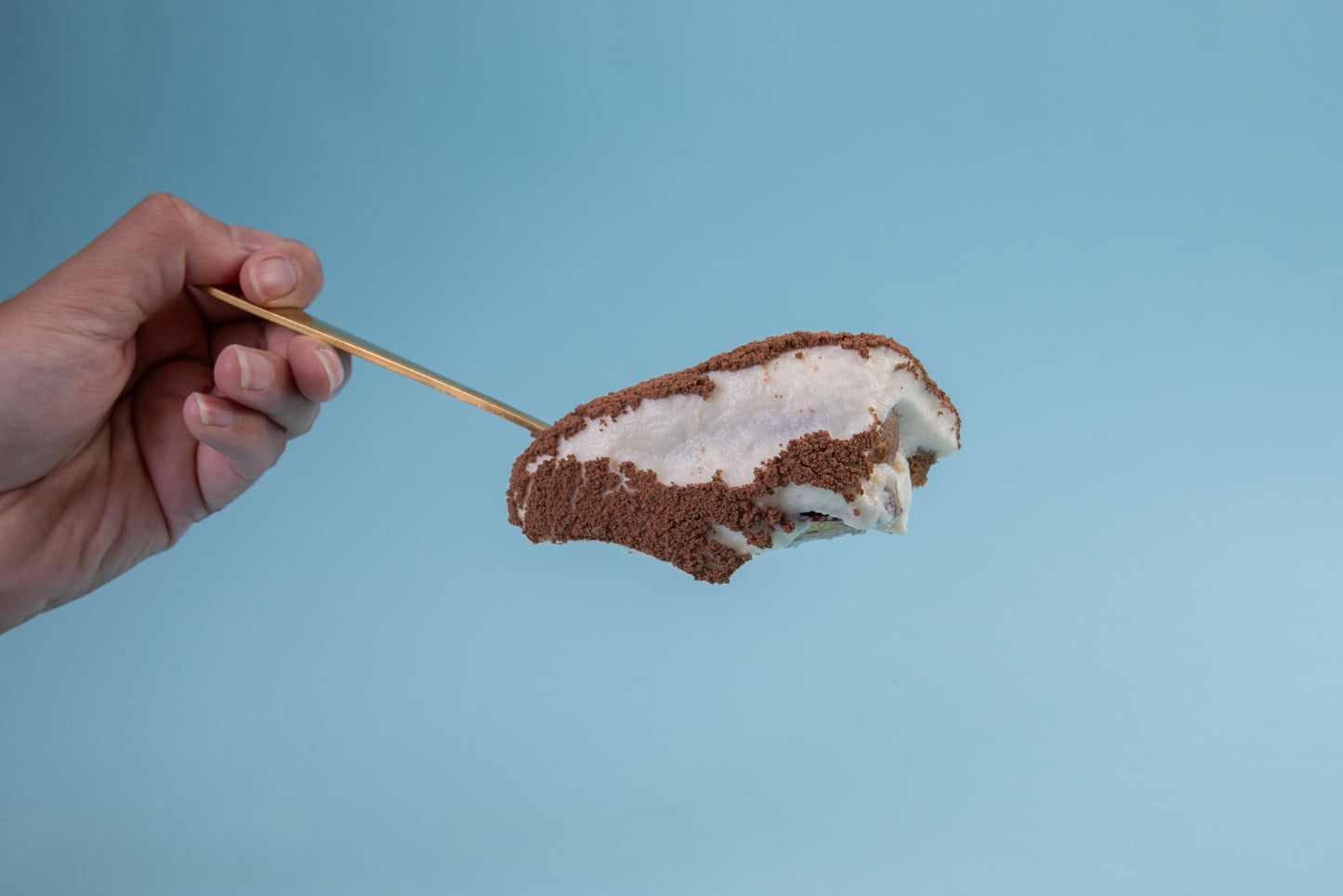 TIRAMISÚ PARA COMPARTIR