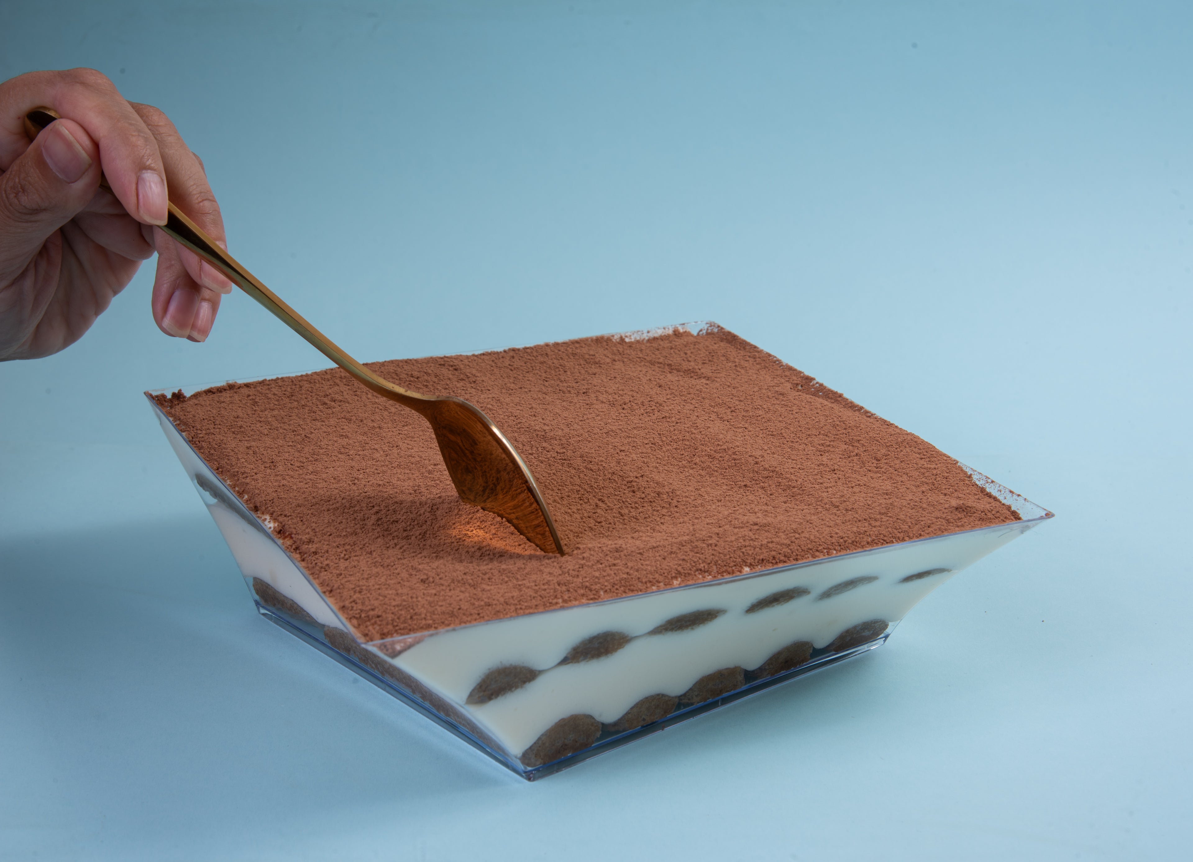 Textura cremosa del tiramisú italiano 1,5L Tremisú
